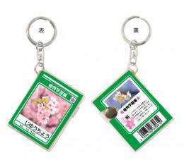 ミニ メモ帳キーホルダー(10個入)